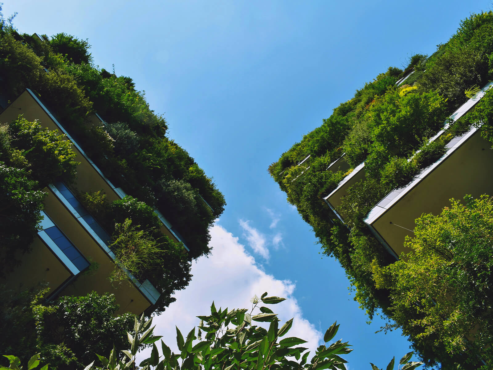 il progetto di una terrazza ricca di piante e alberi e