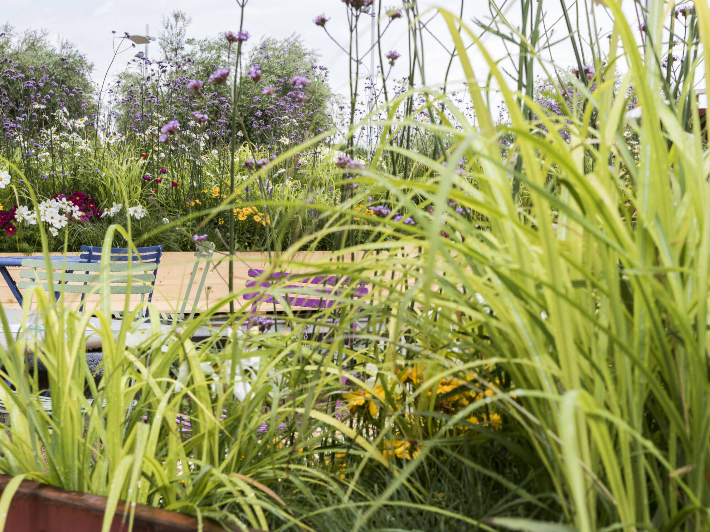 il giardino del festival